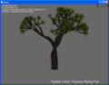 Thumbnail for version as of 23:28, 5 March 2008